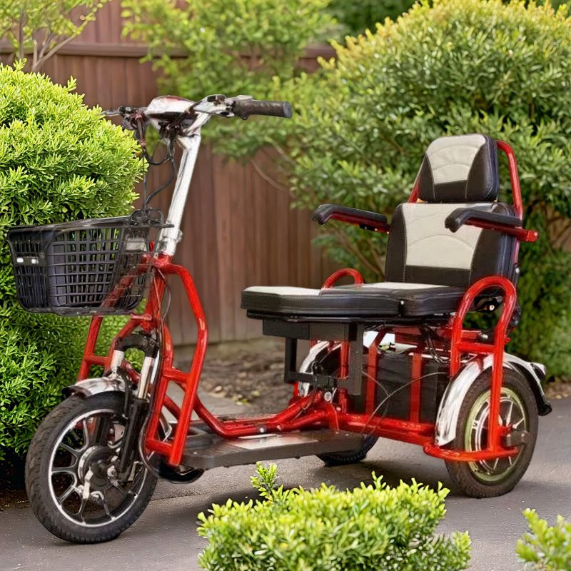 Электротрицикл Elbike Адьютант A4 Электротрицикл Elbike Адьютант A4